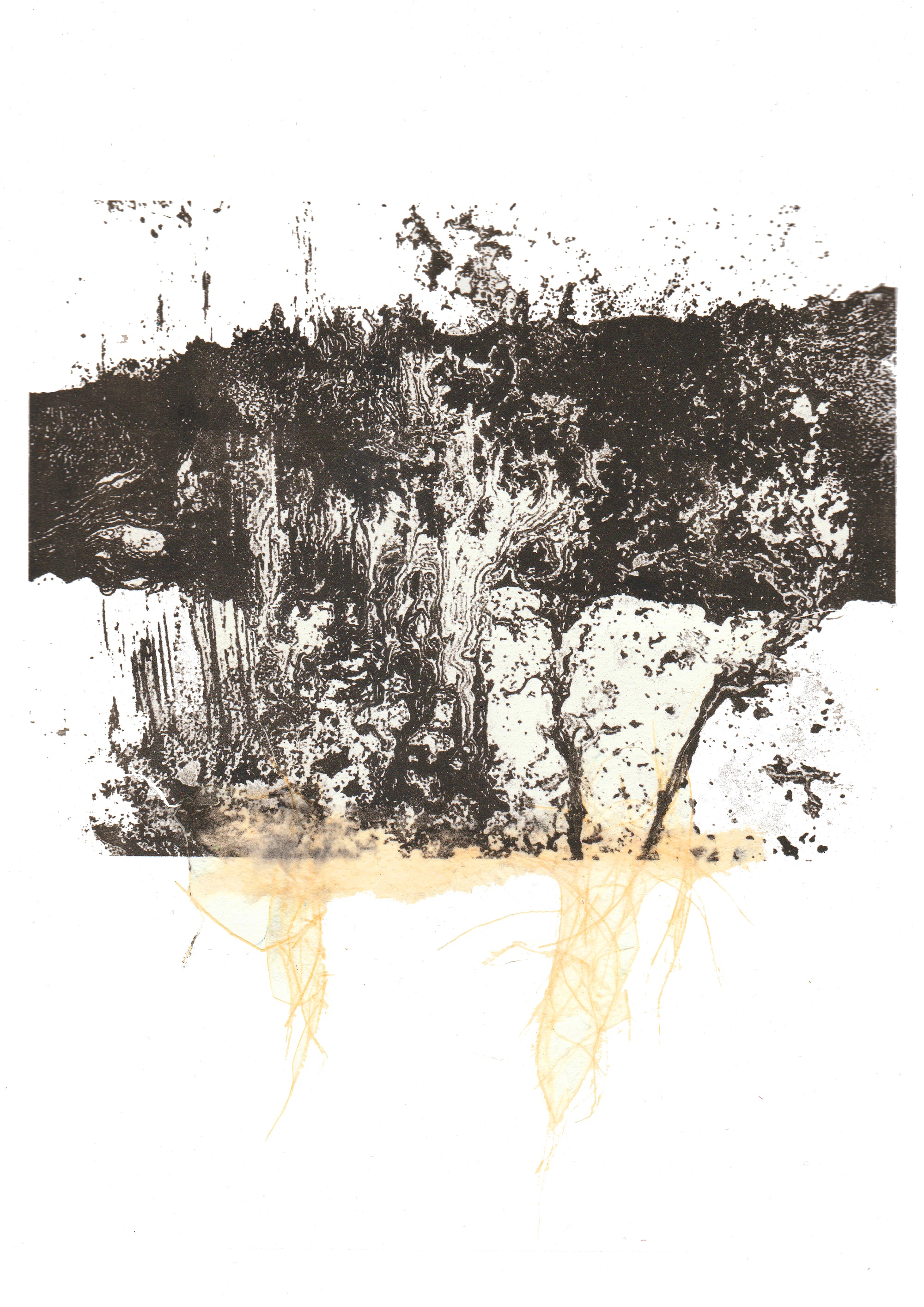 Raices de Humo I