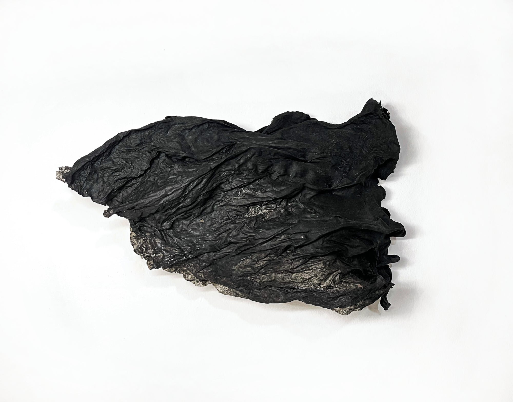 Carbonized Wave