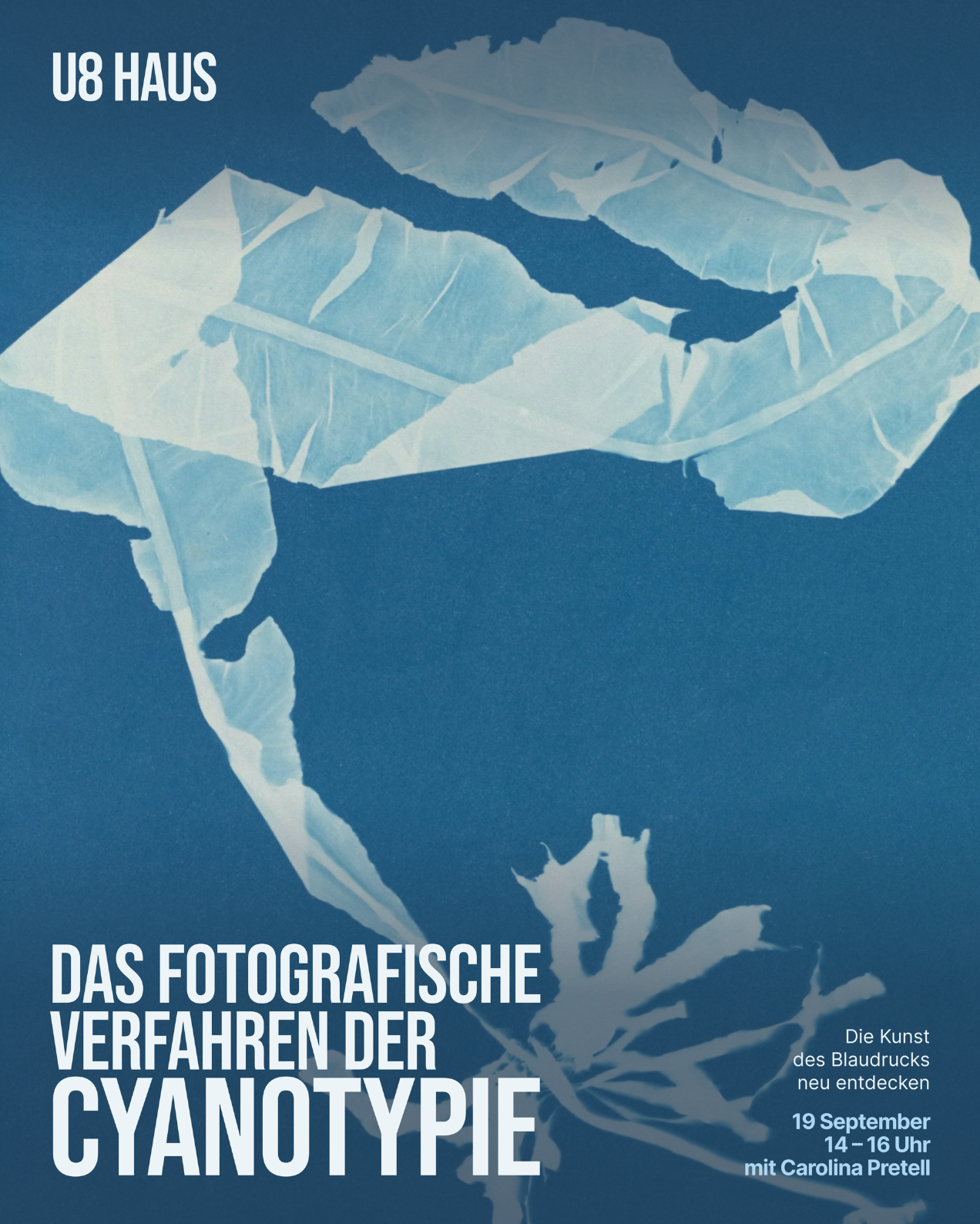 Das fotografische Verfahren der Cyanotypie | Hommage an Anna Atkins | 19 Sep | Samstag | 14-16 Uhr