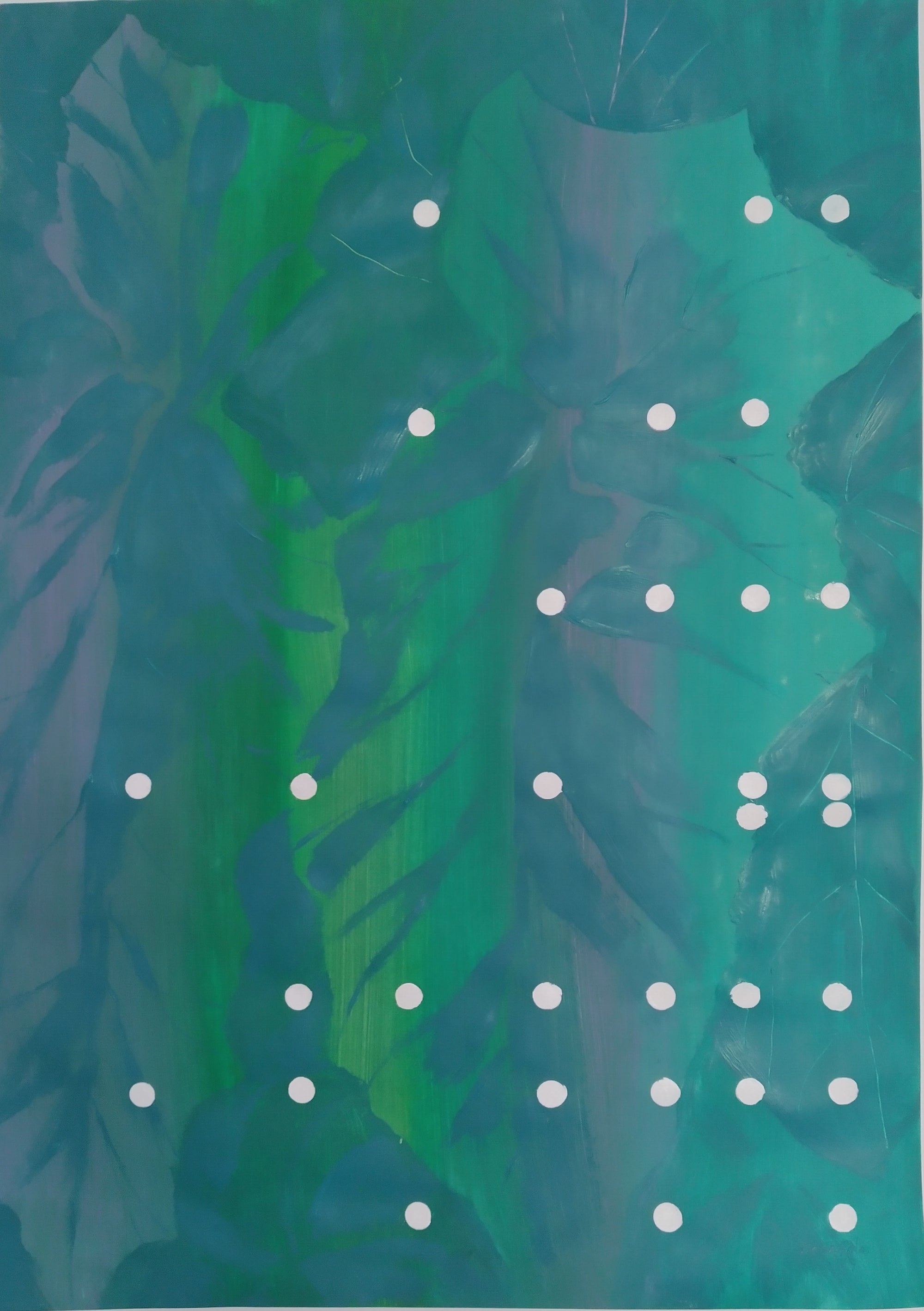 begonia – urban gardening