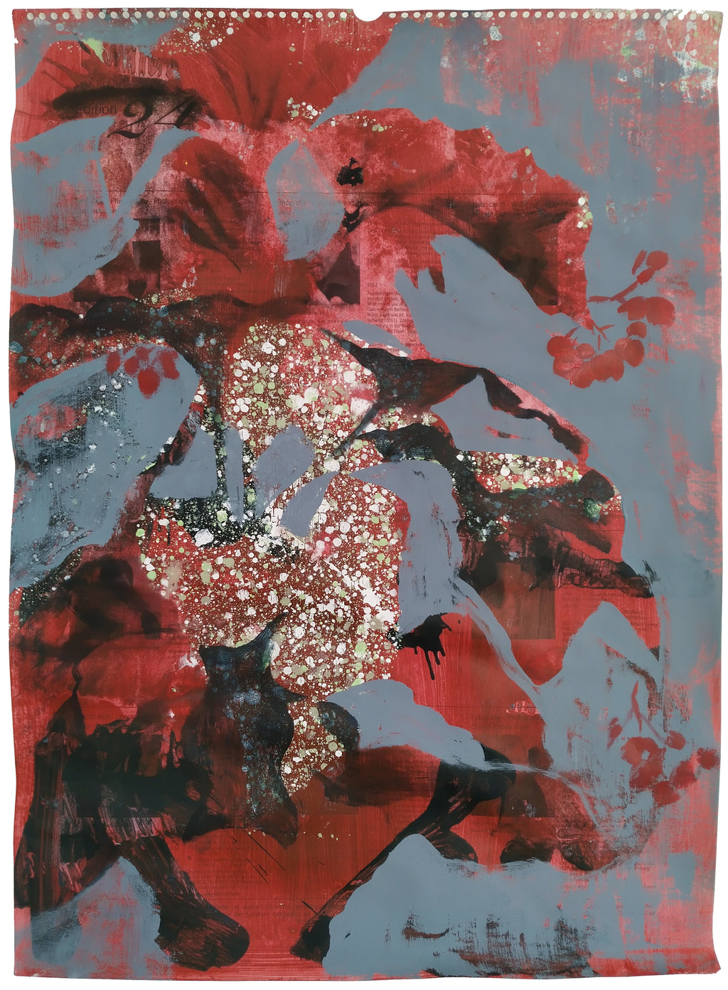 begonia – urban gardening