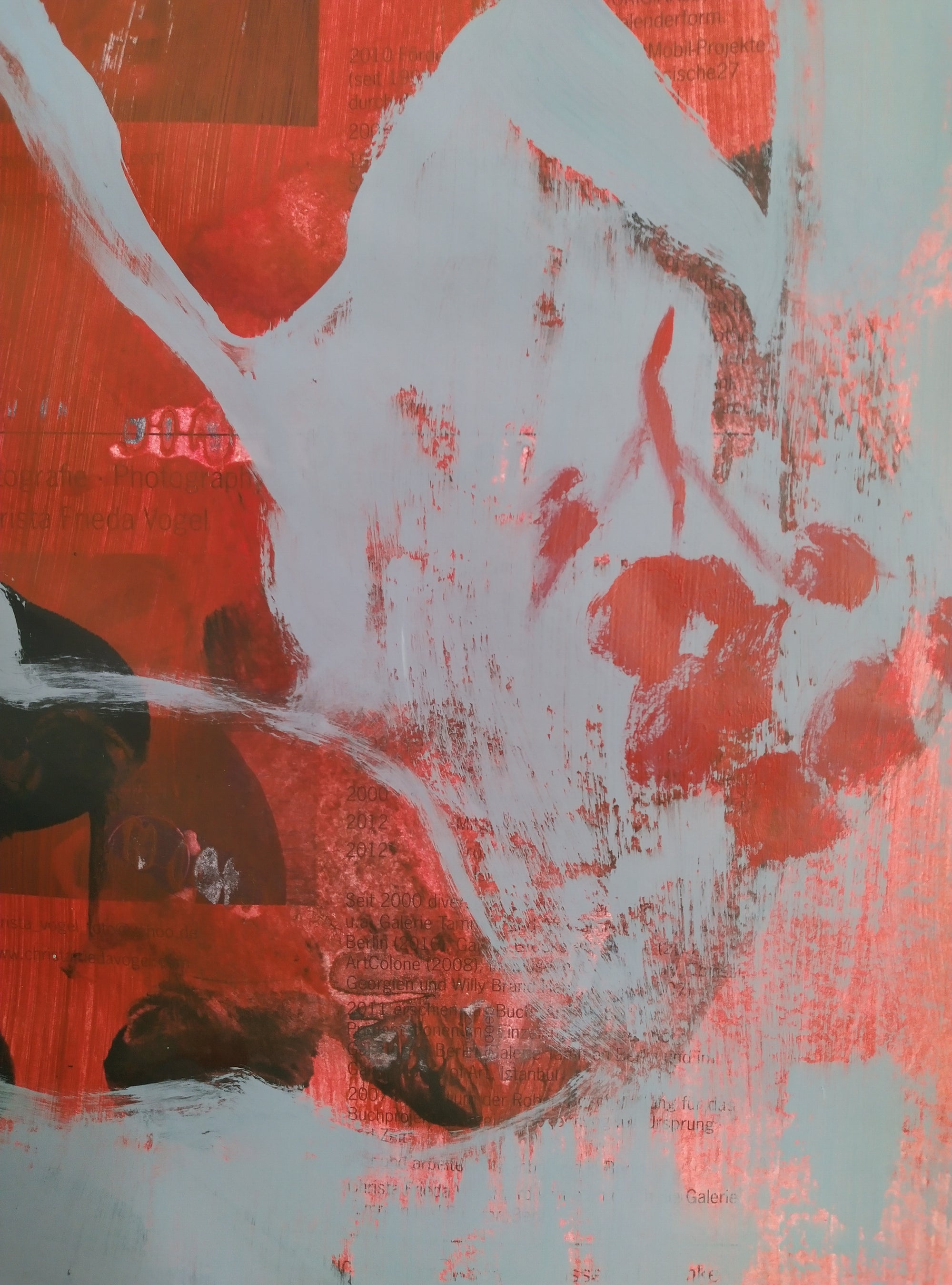 begonia – urban gardening