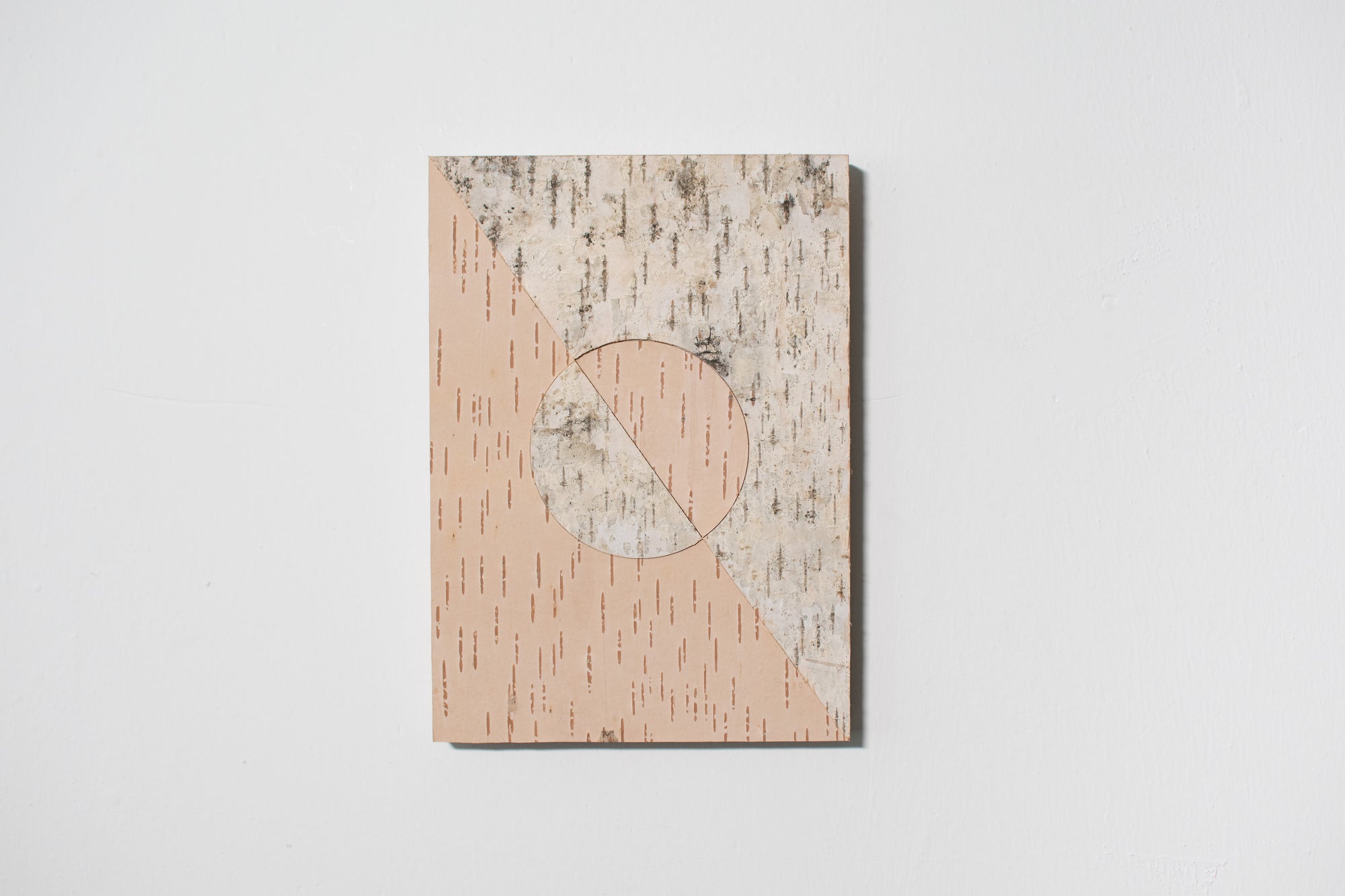 birch; fragmented