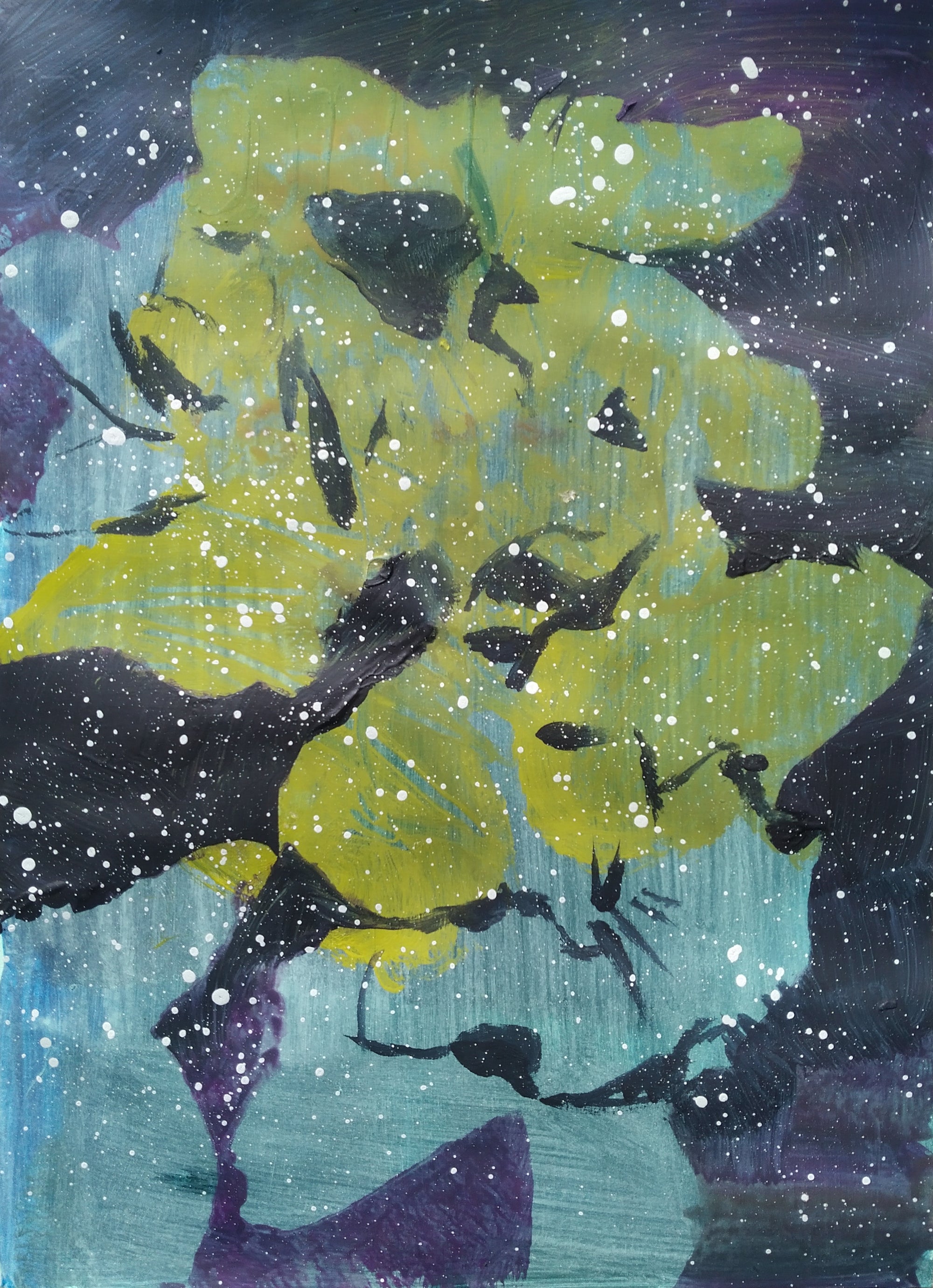 daffodils – urban gardening