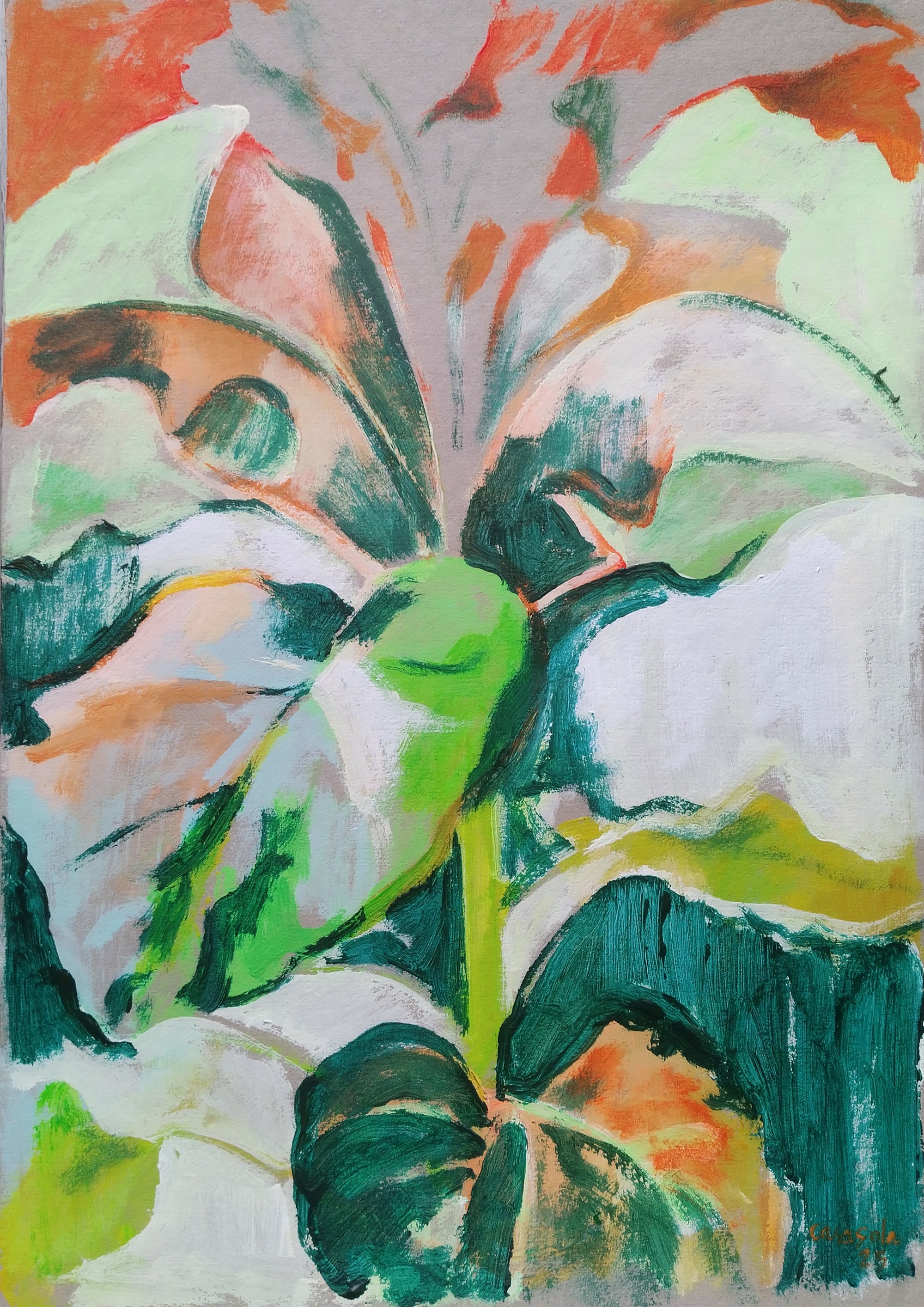 sunflower – urban gardening